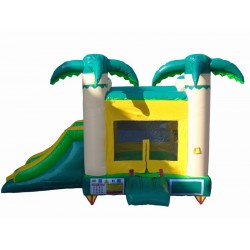 Inflatable Jumper Jungle
