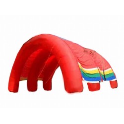 Colourful Inflatable Archways