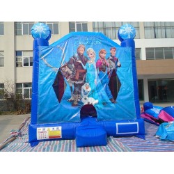 Inflatable Frozen Jump