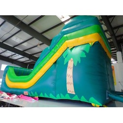 Inflatable Tropical Theme Commercial Slide