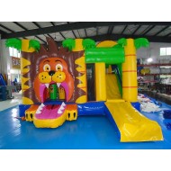 Bouncy Castle Multiplaylion