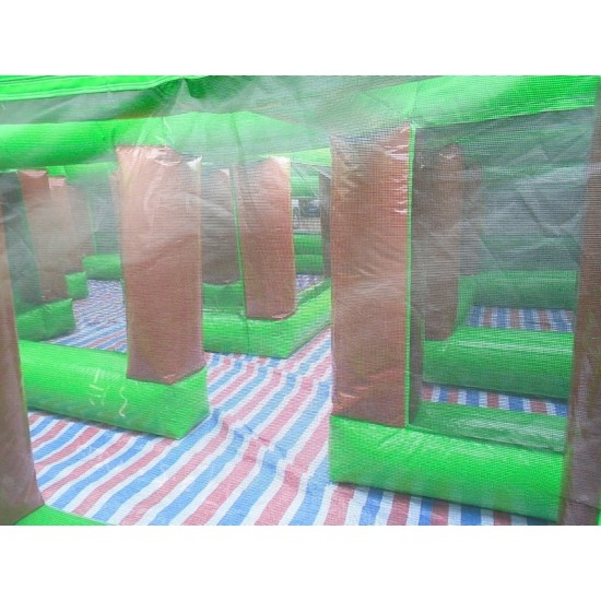 Jungle Maze Jungle Maze
